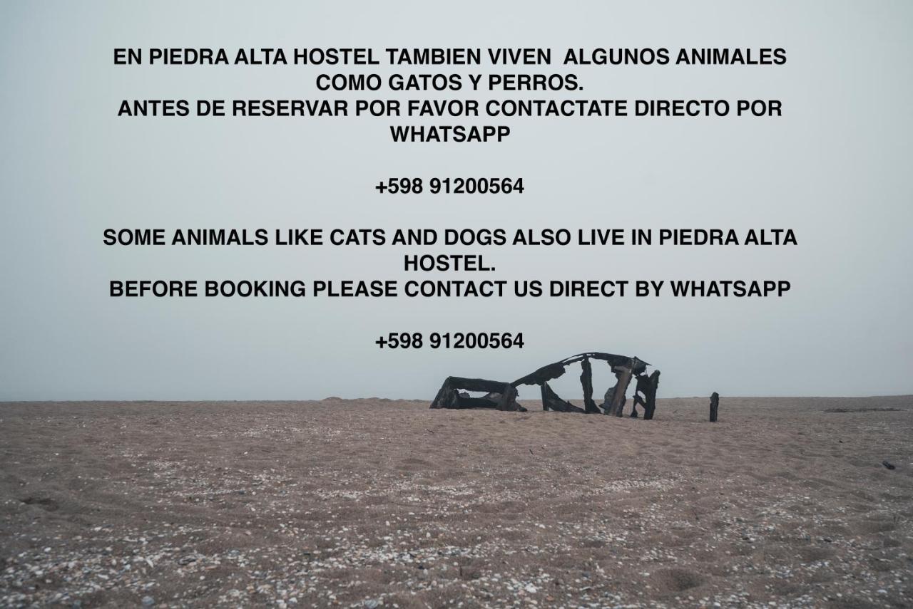 Piedra Alta Hostel&Suites La Pedrera Exterior foto